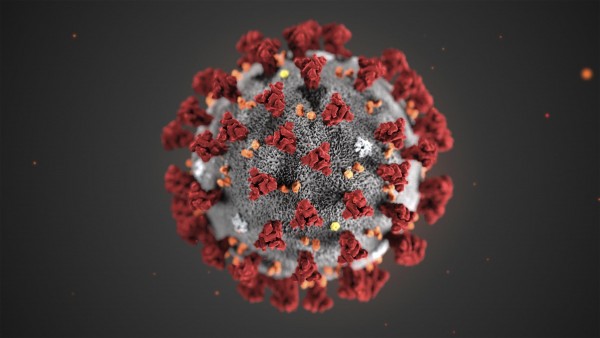 covid 19 virus