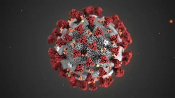 covid 19 virus