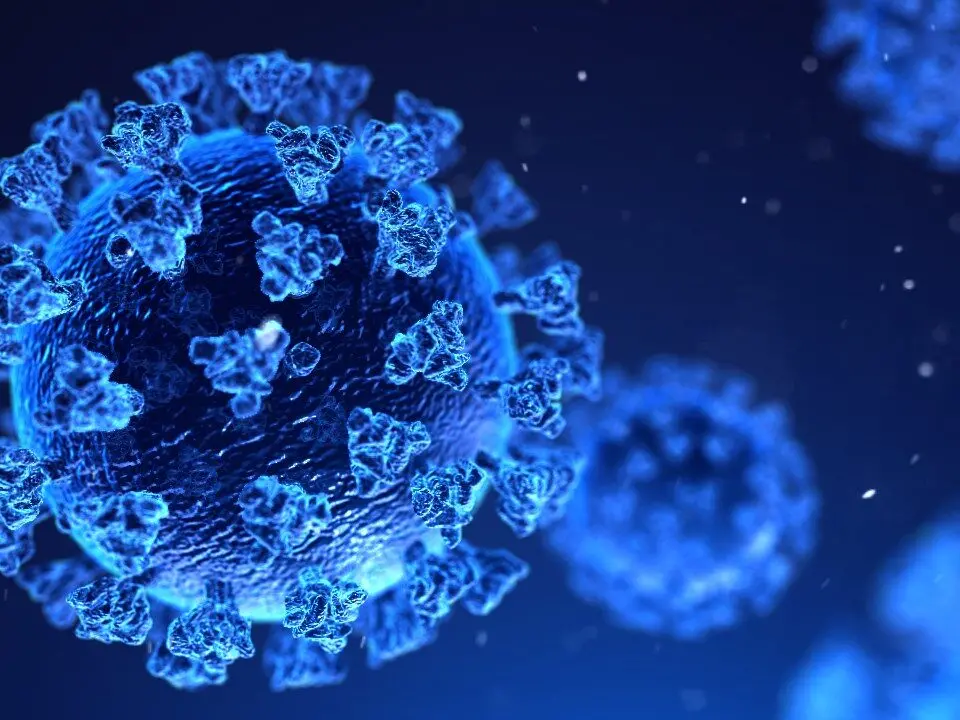 Covid Virus